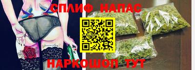 spice Гатчина