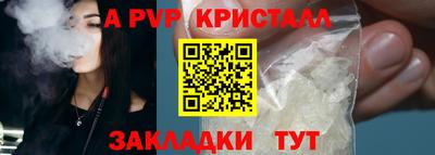 spice Гатчина