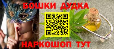 spice Гатчина